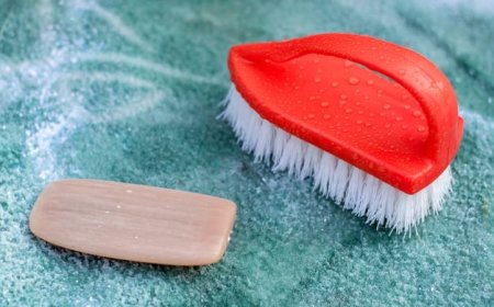 Halı Temizleme Şirketlerinin Önemi