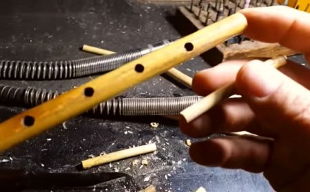 Müzik Aleti Sipsi Nedir?